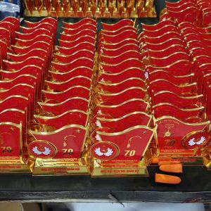 Kỷ Niệm Chương Mạ Vàng Thiết Kế Theo Yêu Cầu - góc ảnh 2