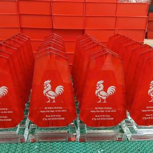 Kỷ Niệm Chương Pha Lê Dáng Bảng Trụ Đứng - góc ảnh 7
