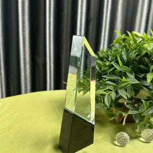 Kỷ Niệm Chương Pha Lê Dáng Bảng Trụ Đứng - góc ảnh 3