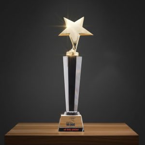 Kỷ Niệm Chương Pha Lê Dáng Ngôi Sao - góc ảnh 7